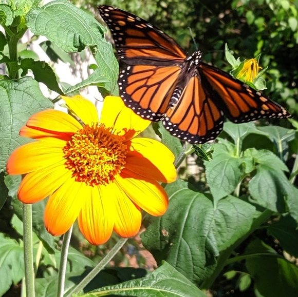 MAKE ME AN OFFER.... - Picture 1 of 1